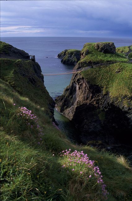 North Ireland, Beautiful Ireland, Rope Bridge, Dark Hedges, Ireland Landscape, High Angle, Travel Images, Ireland Travel, Pretty Places