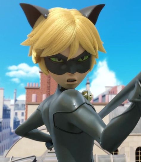 Cat Noir Miraculous, Me Against The World, Miraculous Characters, Adrien Agreste, Cat Noir, Im In Love, Miraculous Ladybug, Cute Cats, Princess Zelda