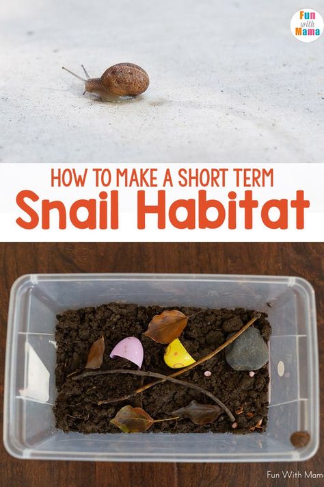 This snail habitat is so much fun to make! It's a simple activity that the kids will love to do! All you need are a few supplies to get started! Snail Habitat, Shampoo Slime, Make Slime Without Glue, Snail Terrarium, Slime Without Glue, Tornado In A Bottle, Caterpillar Activities, Stem Kids, Snail Farming