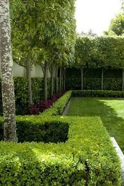 Plant Balcony, Garden Transformation, Garden Hedges, Walled Garden, Outdoor Gardens Design, Backyard Garden Design, Front Yard Garden, Garden Landscape Design, Small Garden Design