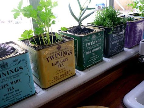 Window Herbs, Kitchen Window Herb Garden, Kitchen Window Plants, Planter Ideas Indoor, Diy Planters Pots, Grandmacore Aesthetic, Window Herb Garden, Window Box Garden, Windowsill Garden