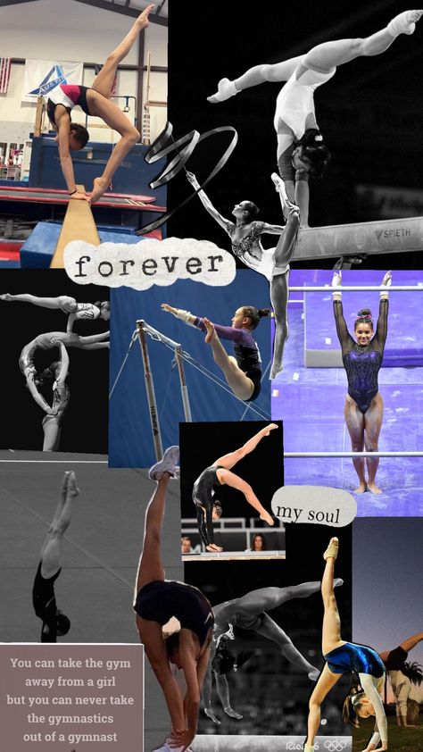 #gymnastics #gymnast#rhythmicgymnastics#acrogymnastics#forever Gymnastics Wallpaper, Cheerleading Quotes, Gymnastics Quotes, Gymnast, Cheerleading, Gymnastics, Gym, Collage, Sports