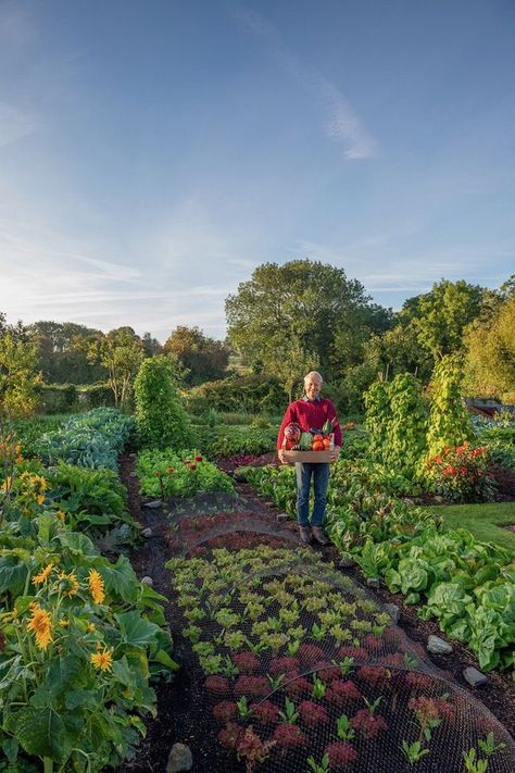 Dig Gardens, Farm Pictures, Future Farms, Big Garden, Vegetable Garden Design, Veggie Garden, Growing Food, Garden Cottage, Farm Gardens