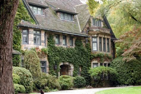 Love ivy! House With Ivy, Villa Style, Tudor Style Homes, Brick Exterior House, Tudor House, Stone Houses, Dream House Exterior, English Cottage, Pretty House