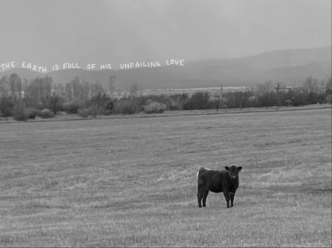 cow western black and white picture with caption the earth is full of his unfailing love Macbook Wallpaper Country Aesthetic, Western Chromebook Wallpaper, Computer Wallpaper Country, Western Wallpaper Laptop, Western Laptop Wallpaper, Western Desktop Wallpaper, Laptop Wallpaper Bible Verse Aesthetic, Cow Images, Western College