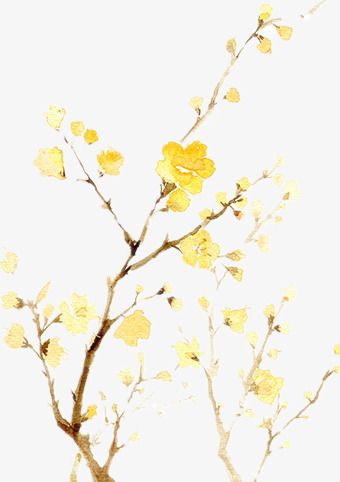 Yellow Flowers Painting, Chinese Drawings, Apricot Blossom, Small Canvas Paintings, Plum Flowers, Flamingo Art, Flower Sketches, China Art, Sumi E