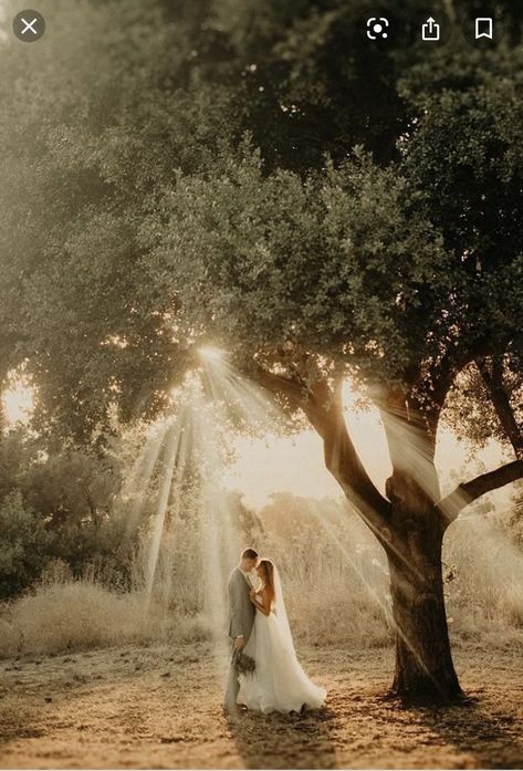 Wedding Landscape Photography Photo Ideas, Wedding Foto Ideas Creative, Outdoor Wedding Pictures Ideas, Woods Elopement Photo Ideas, Rustic Wedding Portraits, Wedding Pictures In A Field, Wedding Pictures On A Boat, Wedding Photo Ideas Walking Down Aisle, Woods Wedding Photography