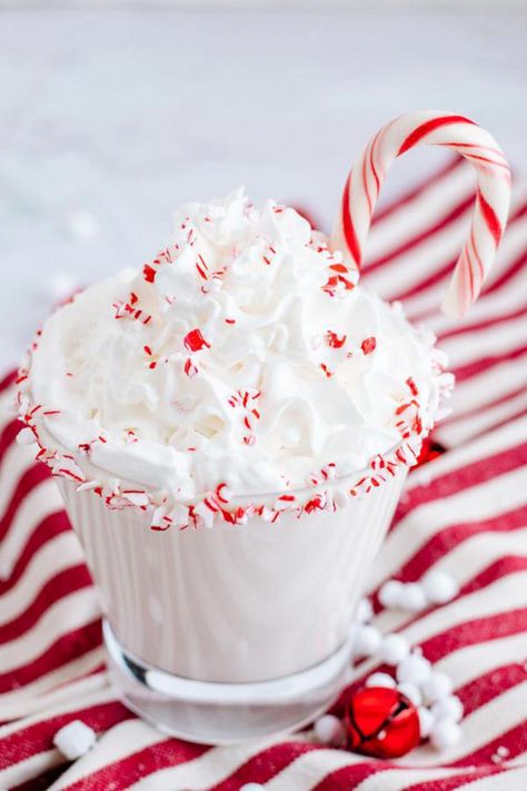 Candy Cane Hot Chocolate Hot Chocolate Fudge Recipe, Peppermint Coffee Creamer, Candy Cane Hot Chocolate, Peppermint Hot Chocolate Recipe, Healthy Hot Chocolate Recipe, Holiday Drinks Christmas, Chocolate Drink Recipes, Candy Cane Recipe, Gingerbread Hot Chocolate