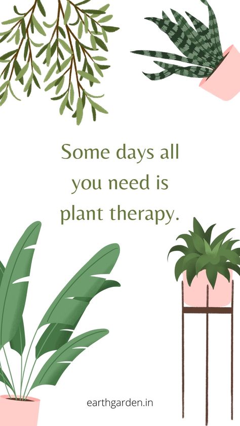 Planting Quotes, Ecofriendly Quotes, Plant Jokes, Plant Quotes, Leaf Quotes, Cup Plant, Gardening Quotes, Gardening Planting, Quotes For Inspiration