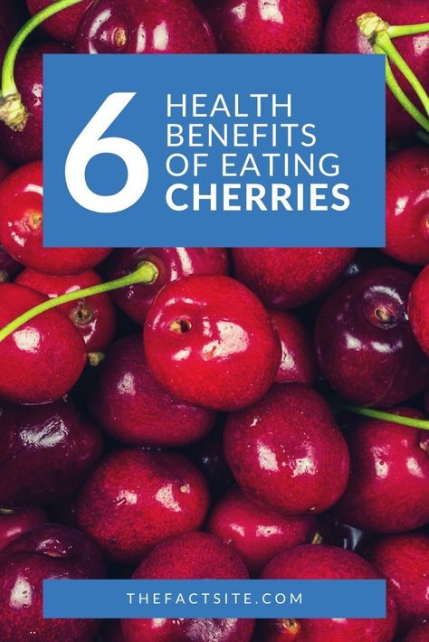 Cherry Nutrition Facts, Health Benefits Of Cherries, Fruit Health Benefits, Bing Cherries, Stone Fruits, Frozen Cherries, Cherry Fruit, Fresh Cherries, Cherry Juice