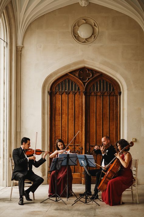 String Quartet Aesthetic, Classical Music Outfit, Symphony Orchestra Aesthetic, Orchestra Photography, Orchestra Aesthetic, Music Photoshoot, Wedding Musicians, Musical Performance, Classical Musicians