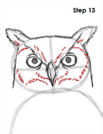 Great Horned Owl Drawing, Eyes Anatomy, Owl Sketch, Bird Painting Acrylic, Owl Drawing, Owl Feather, Owl Watercolor, Owl Eyes, Owls Drawing