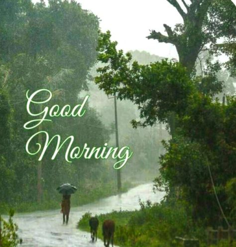 Rain Good Morning Images, Rainy Morning Quotes, Good Morning Nature Quotes, Rainy Good Morning, Road Wallpaper, Good Morning Nature Images, Good Morning Posters, Good Morning Clips, Good Morning Greeting Cards