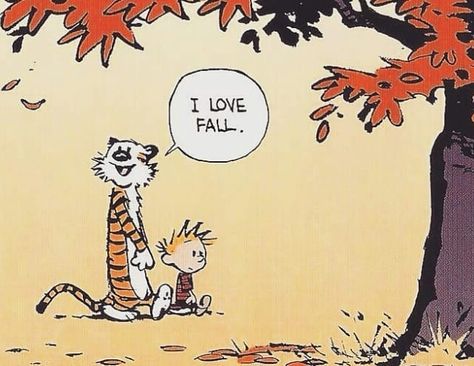 #calvinandhobbes #fall 🍃🍁 Calvin Und Hobbes, Calvin And Hobbes Quotes, Calvin And Hobbes Comics, I Love Fall, Love Fall, Happy Fall Y'all, A Tiger, Calvin And Hobbes, Fun Comics