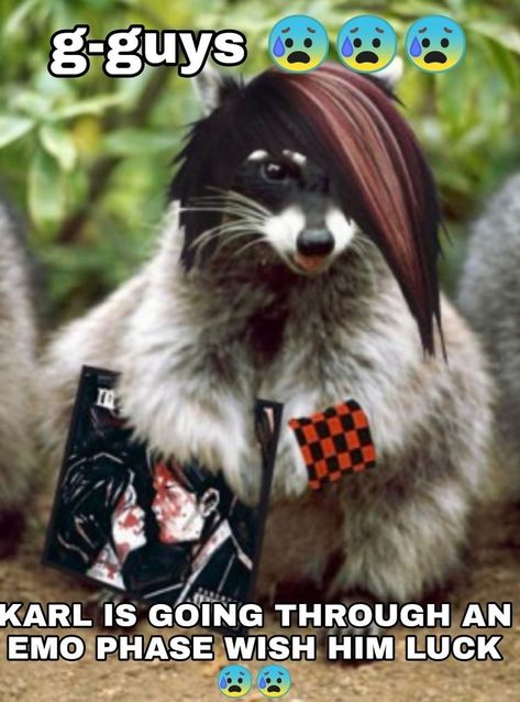 Emo Raccoon, Google Search, Hair