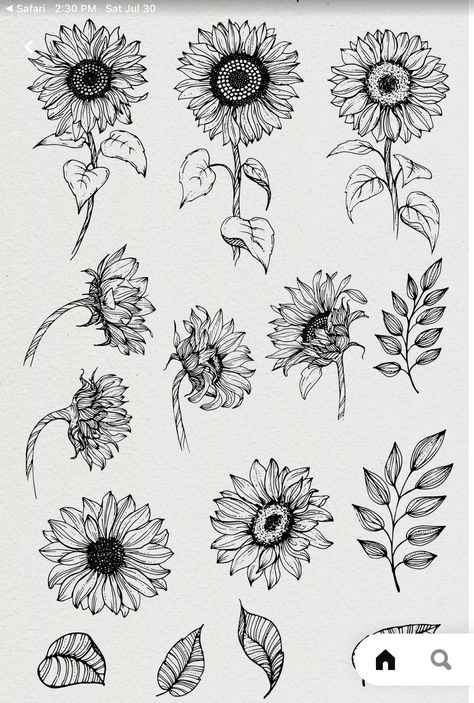 Scientific Tattoo, Sunflower Black And White, Zantangle Art, Mom Tattoo Designs, Sunflower Drawing, Tattoo Outline Drawing, Flower Line Drawings, Flower Drawing Tutorials, Flower Tattoo Shoulder