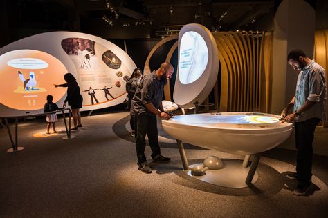 Museum Visitors Learn about Life Science with Ideum Exhibits Interactive Exhibit, Interactive Kiosks, Museum Exhibition Design, Interactive Museum, The Human Brain, Interactive Display, Experience Center, Exhibit Design, Air And Space Museum