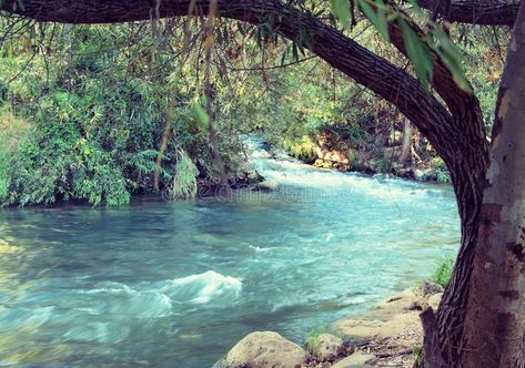 The Jordan River, Jordan River, Baptism Photos, Sea Of Galilee, River Painting, Nile River, Three Rivers, Water Sources, Water Resources