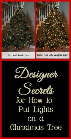 The first step to decorating a Christmas tree, whether fresh or artificial, should be putting on the Christmas lights. Often people do not add enough lights or add them incorrectly, which does not illuminate the Christmas tree like it should. Here are some designer secrets for adding Christmas lights to a Christmas tree, even if you are using a pre-lit tree this year. How To Wrap A Christmas Tree With Lights, Decorating A Real Tree For Christmas, Add Lights To Christmas Tree, Big Lights On Christmas Tree, Lights On Christmas Tree How To Put, How To Put Lights On A Tree, How To Hang Christmas Lights On Tree, How To Add Lights To Christmas Tree, How To Light A Christmas Tree