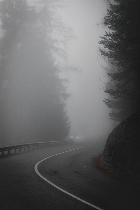 Foggy Road, Dark Rain, Rainy Wallpaper, Dark Weather, Cozy Rainy Day, Dark Naturalism, Foggy Weather, Foggy Forest, Forest Road