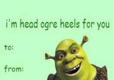 15.7k Likes, 135 Comments - Shrek🐸🐢🦖☘️🍏🥦 (@shrekk_wess) on Instagram: “If anyone gives me this, I will literally marry them on the spot.  #shrek #shrekmemes…” Valentines Humor, Valentines Day Card Memes, Funny Valentines Cards For Friends, Meme Valentines Cards, Bad Valentines Cards, Friend Valentine Card, Valentines Background, Silly Valentines, Bad Valentines