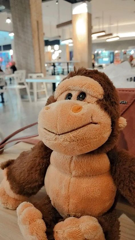 Cute Monkey Aesthetic, Jelly Cat Monkey, Monkey Soft Toy, Monkey Plush Aesthetic, Family Meeting, Monkey Stuffed Animal, Winning The Lottery, Baby Monkey, Monkeys