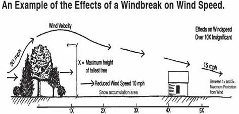 WIndbreak diagram Wind Break Garden, Windbreak Trees, Cheap Raised Garden Beds, Landscape Architecture Diagram, Passive Solar Design, Wind Break, Permaculture Design, Self Sufficiency, School Garden