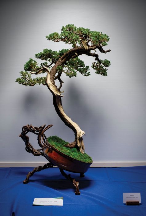 Bonsai Shop