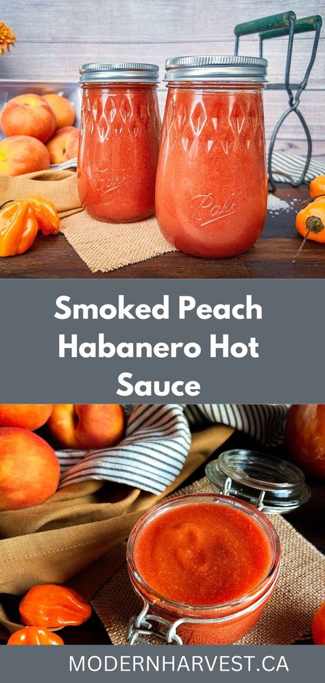 Look no further for the perfect spicy peach hot sauce. Bursting with flavor and heat from the peaches and habanero peppers, this sauce is a keeper. Peach habanero hot sauce can be eaten fresh or canned for long term preservation. The combination of sweet, ripe peaches and spicy habanero peppers swirled with smoke make this habanero hot sauce recipe a keeper. Peach Habanero Hot Sauce, Fresh Pepper Hot Sauce Recipe, Smoked Habanero Peppers, Peach Habanero Sauce, Peach Habenero Recipes, Making Hot Sauce From Fresh Peppers, Mango Hot Sauce Recipe, Recipes With Hot Peppers, What To Do With Habenaros