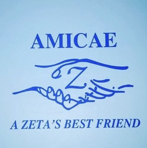 Zeta Amicae, Wooden Paddle, Zeta Phi Beta, Sorority, Best Friend, Image Search, Blue, White, Quick Saves