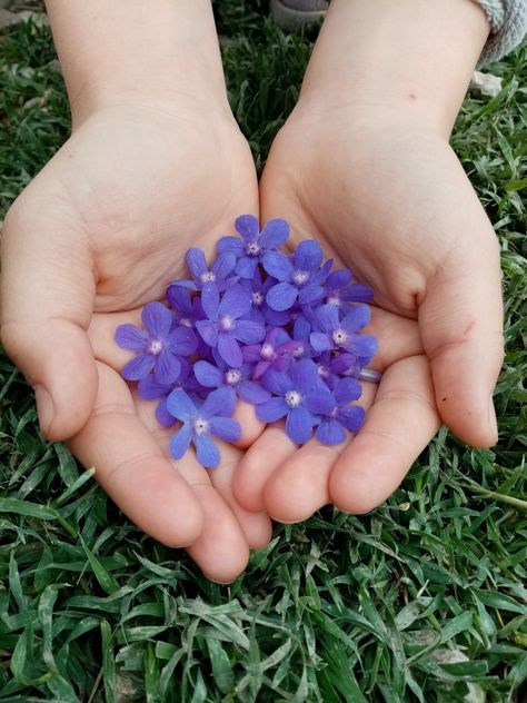 Two Hands, Flower Power, Composition, Flowers, Quick Saves