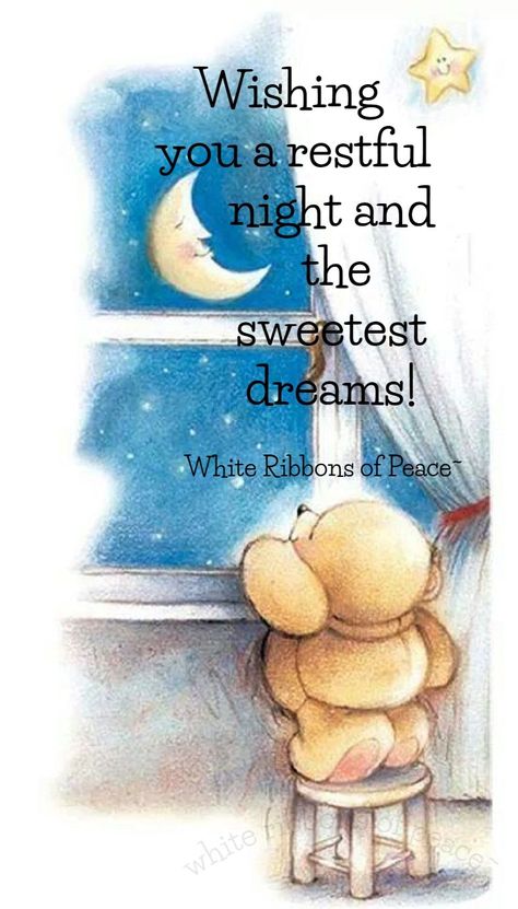 Good Night Meme, Dreams Pictures, Good Night Hug, Good Night Cat, Sweetest Dreams, Beautiful Good Night Quotes, Good Night Funny, Happy New Year Pictures, Happy Birthday Greetings Friends