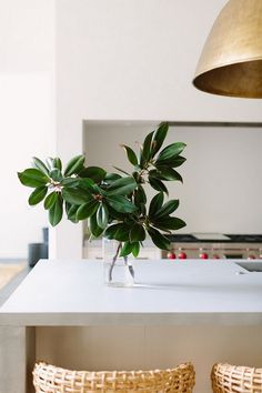 Kitchen decor Minimalist decor keeps this kitchen feeling airy and uncluttered Kitchen decor #kitchendecor #kitchen #decor Kitchen Greenery, Kitchen Decor Minimalist, Uncluttered Kitchen, Ikea Raskog, Apartment Plants, Decor Ikea, Traditional Interior Design, Plants Decor, Spanish Revival