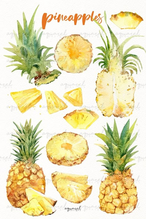 Tropical Fruit Watercolor, Pineapple Watercolor Paintings, Tropical Fruit Painting, Summer Fruits Drawing, Tropical Fruits Illustration, Watercolor Fruit Paintings, Watercolour Pineapple, Fruit Outline, Beach Drawings