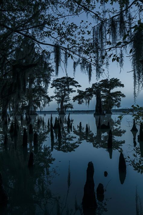 "Until the Water" - Swamp & Bayou - Frank Relle Swamp Aesthetic, New Orleans Witch, Louisiana Swamp, Louisiana Bayou, Gothic Wallpaper, Southern Gothic, Cypress Trees, Gothic Aesthetic, Matte Painting