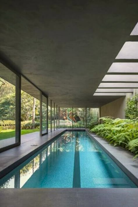 A focused shot that captures an enclosed, elongated swimming pool that boasts a set of skylights above it, also highlights the striking vegetation design present on the pool’s side. Indoor Pool With Skylight, Enclosed Swimming Pool Ideas, Home Indoor Pool, Pool Design Plans, Underground Swimming Pool, Small Indoor Pool, Underground Pool, Amazing Pools, Indoor Swimming Pool Design