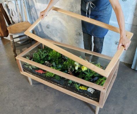 Indoor Garden in a coffee table - I'd love to try this with thyme, rosemary, etc. Would be cool to add earthworms! Table With Plants, Terrarium Table, Teaching Hacks, Build A Terrarium, Large Terrarium, Plant Diy, Hanging Terrarium, Plant Help, Plant Table