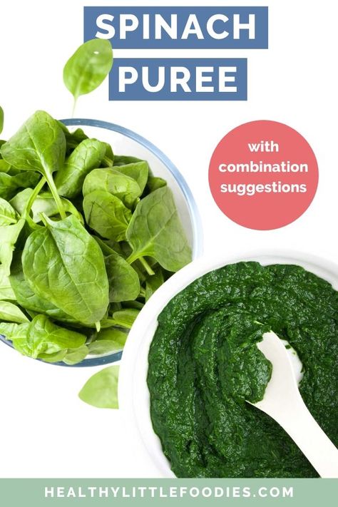 Combining Blw And Purees, Spinach Puree, Baby Spinach Recipes, Broccoli Puree, Baby Purees, Steamed Spinach, How To Make Spinach, Cooking Spinach, Easy Baby Food Recipes