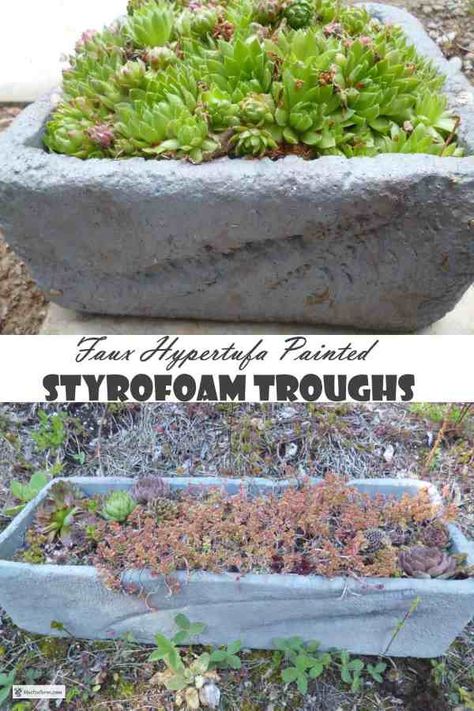 Styrofoam Recycling, Hypertufa Projects, Modern Gardening, Rock Planters, Painting Styrofoam, Styrofoam Crafts, Fox Farm, Concrete Plant Pots, Faux Rock