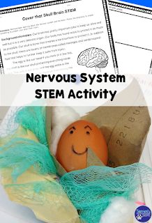 Using STEM activities to help reinforce concepts related to the nervous system. Nervous System Projects, Teaching Body Systems, Human Body Homeschool, Brain Notes, Nervous System Activities, Life Science Activities, Human Body Science, Human Body Activities, Stem Ideas