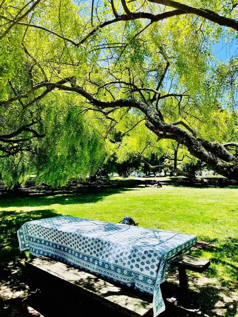 Picnic Table Cloth Ideas, Picnic Table Cloth, Barn Parties, Casual Home, Graduation Celebration, Pretty Tables, Large Table, Picnic Table, Park Bench