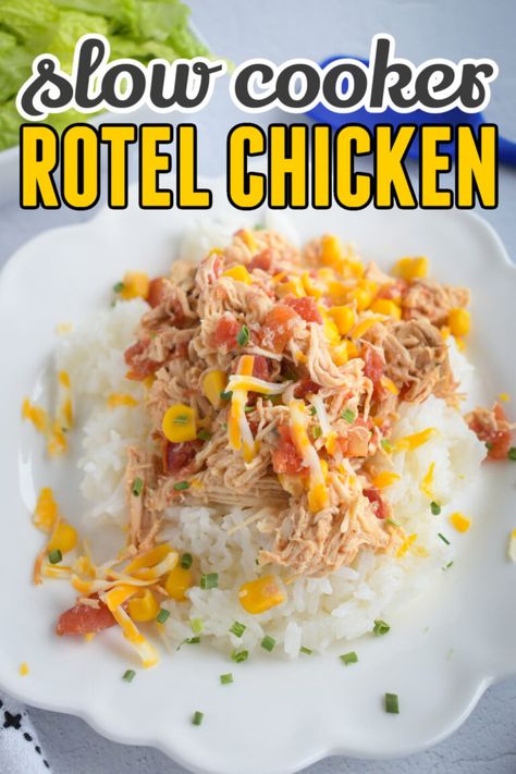 Chicken Rotel Recipes, Chicken Recipes With Cream Cheese, Tenderloin Recipes Crockpot, Frozen Chicken Crockpot, Rotel Chicken, Chicken Breast Recipes Slow Cooker, Rotel Recipes, Chicken Breast Slow Cooker, Crockpot Chicken Thighs