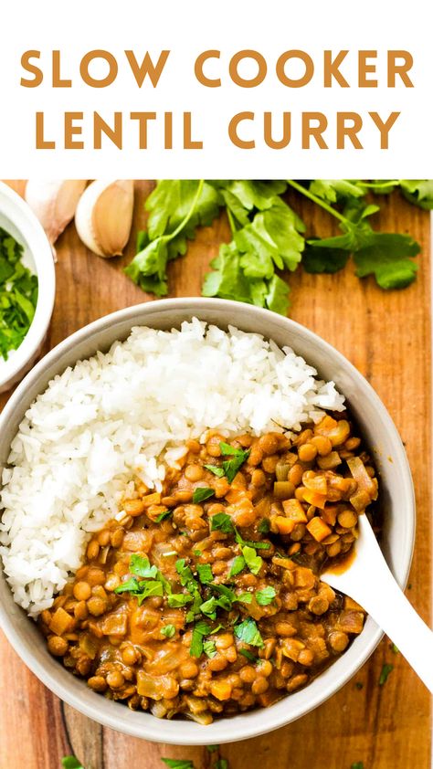 Slow Cooker Lentil Curry, Curry And Rice, Slow Cooker Curry, Vegan Crockpot, Slow Cooker Lentils, Course Ideas, Dried Lentils, Egg Free Recipes, Lentil Curry