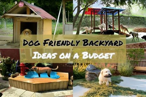 Transform your outdoor space with these dog friendly backyard ideas on a budget—creating a haven for both pets and owners to enjoy. Backyard Landscape With Dogs, Dog Area Ideas Outdoor, Outdoor Dog Lounge Area, Dog Play Areas In Backyard, Two Dog House Outdoor, Play Yard For Dogs, Backyard Enrichment For Dogs, Cute Dog Houses Outdoor Diy, Small Patio Ideas For Dogs