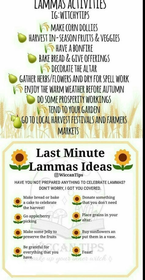 Llamas Activities Wheel Sabbats Esabats BOS Lammas Activities For Kids, Lammas Activities, Pagan Holidays, Wiccan Sabbats, Magic Things, Corn Dolly, Witchy Tips, Witch Books, Seasons Change