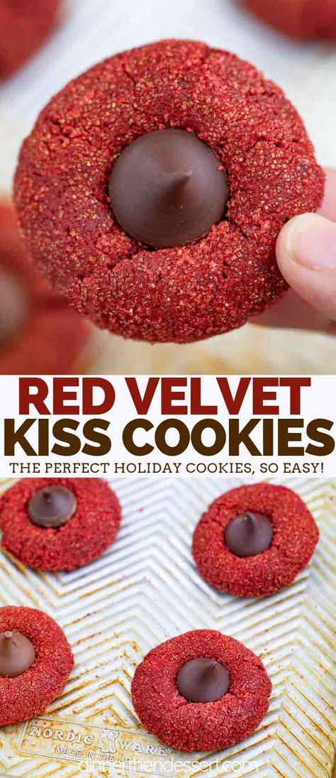 Red Velvet Kiss Cookies tastes like rich red velvet cupcakes in cookie form with a Hershey's Kiss chocolate in the middle, the perfect holiday baking cookie. #redvelvet #cookie #dessert #baking #christmas #dinnerthendessert Holiday Baking Cookies, Easy Holiday Baking, Chocolate Hershey, Hershey Kisses Chocolate, Red Velvet Recipes, Peanut Butter Blossom Cookies, Kiss Cookies, Baking Christmas, Blossom Cookies