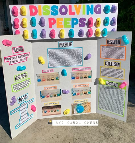 Fun Science Fair Projects, Science Fair Boards Display, Science Projects For 3rd Grade, Science Projects For Kids School Poster, Cute Science Fair Projects, Science Fare Project Ideas, Science Fair Project Ideas High School, Science Fair High School, Softball Science Fair Projects