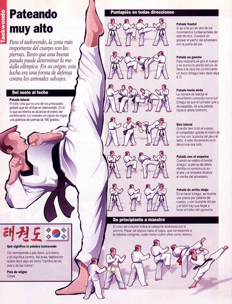 Taekwondo Girl, Taekwondo Training, Kyokushin Karate, Self Defense Martial Arts, Karate Martial Arts, Combat Training, Kickboxing Workout, Pencak Silat, Martial Arts Techniques