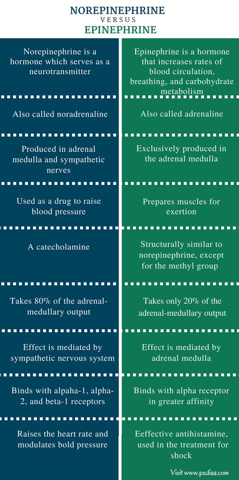 Difference Between Norepinephrine and Epinephrine | Definition, Characteristics, Function Epinephrine Vs Norepinephrine, Epinephrine Pharmacology, Adrenal Medulla, Crna School, Adrenergic Receptors, Paramedic School, Raise Blood Pressure, Nursing School Essential, Abnormal Psychology