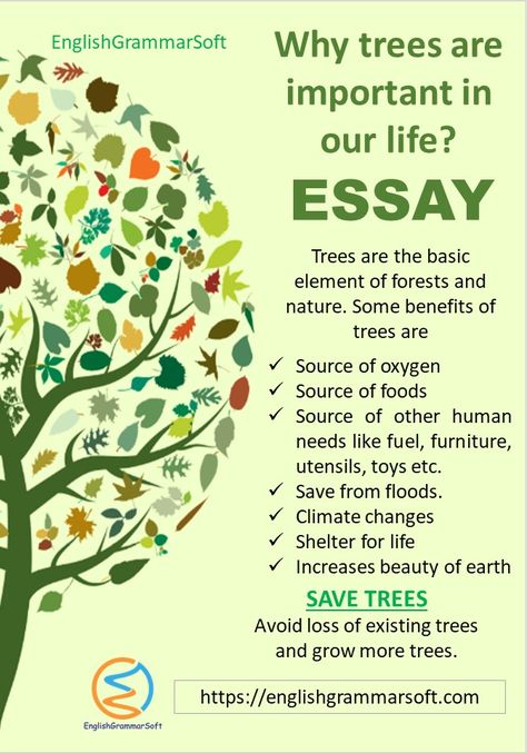 Essay on Why Trees are Important in our Life A tree is a plant that consists of wood trunk, branches, leaves, and roots. Trees are found in almost every part of the world. Without trees survival of the human being is not possible because they produce oxygen for us. In this essay, we are going to discuss the importance of trees in our life. Save trees for yourself and your future generation. Why Plants Are Important, Importance Of Trees Essay, Save The Trees Poster, Save Trees Poster Creative, Importance Of Forest, Save Trees Poster, Uses Of Trees, Creative Writing Topics, Importance Of Trees